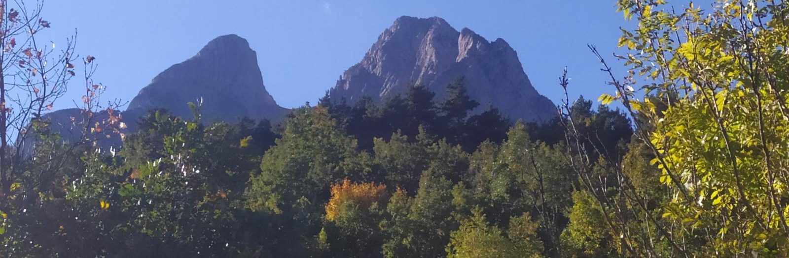 17 de novembre. Els arbres monumentals de la Vall del Gresolet