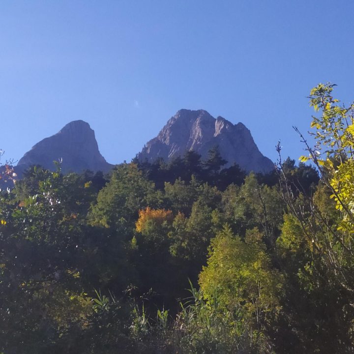 17 de novembre. Els arbres monumentals de la Vall del Gresolet