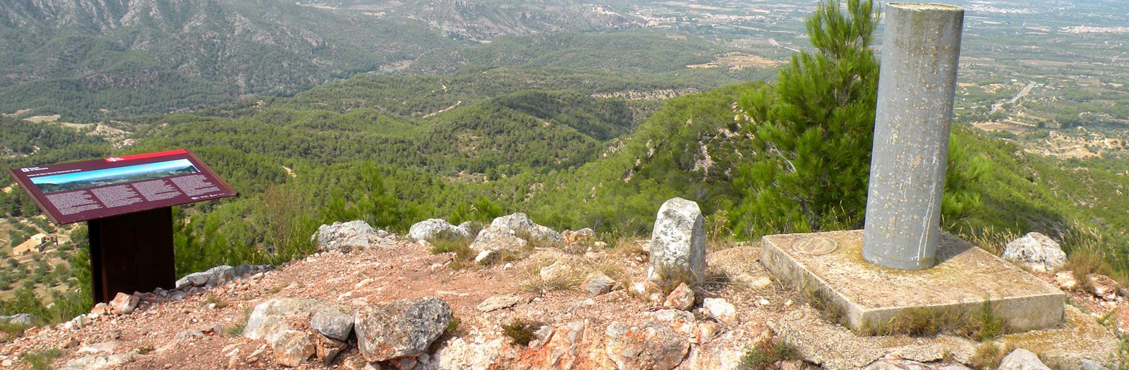 10 de Març. Pujada al Cim del Coll de Pins i visita a la Teixeda de Cosp a la Serra de Cardó.