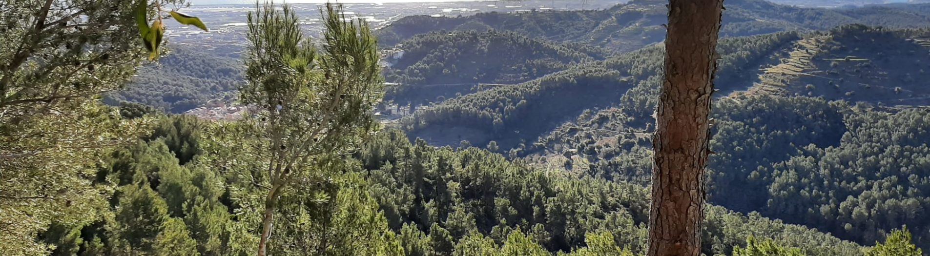 7 de novembre de 2021.                                              Les Barraques de Pedra Seca de Sant Climent