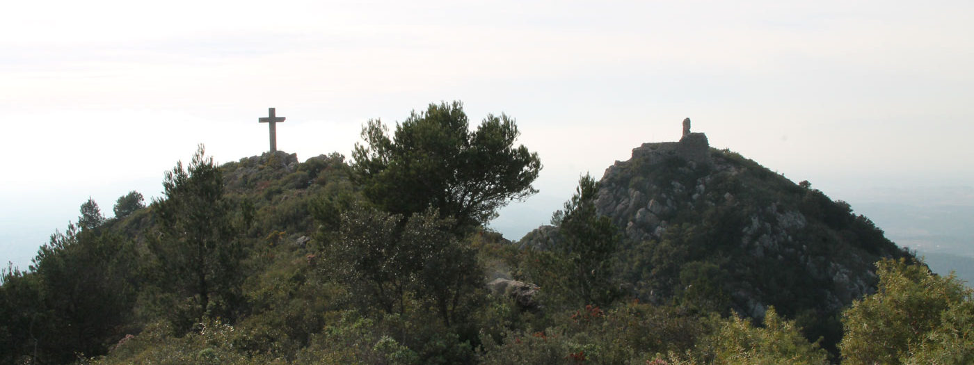 Diumenge 19 de Febrer: Senderisme Familiar a la Talaia del Montmell