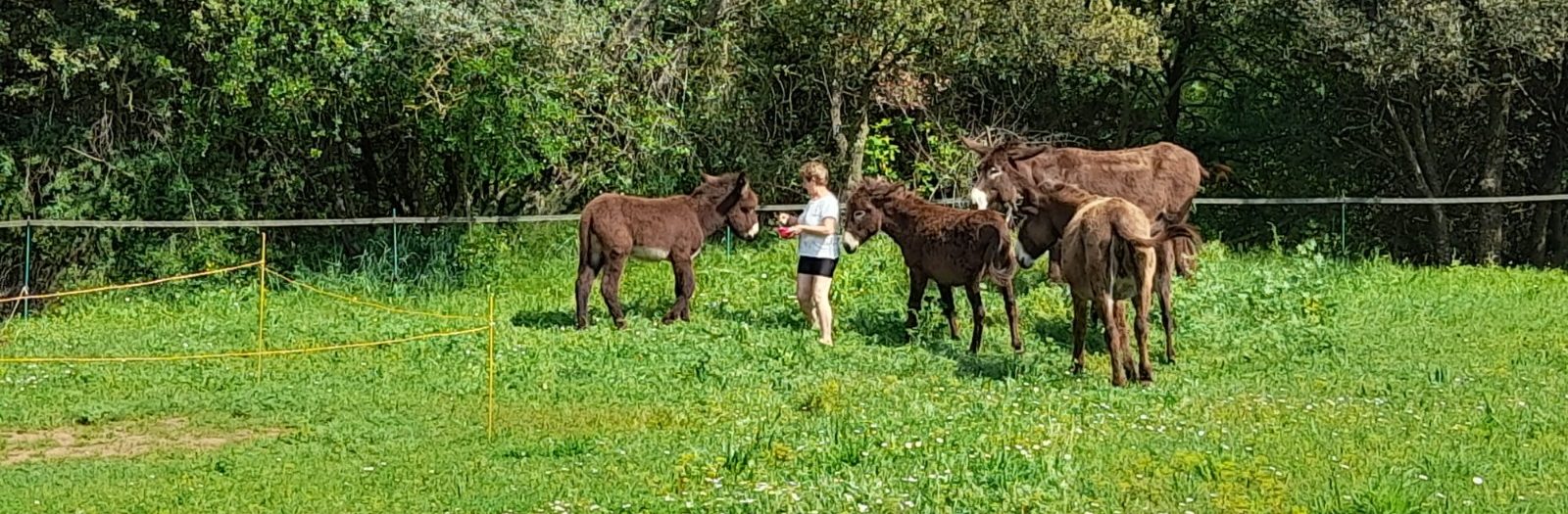 25 de març. Excursió a una granja de guarans.