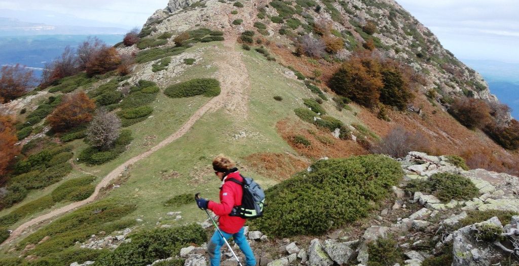 Dissabte 12 de Novembre. Excursió de mitja muntanya a les Agudes (Massís del Montseny)