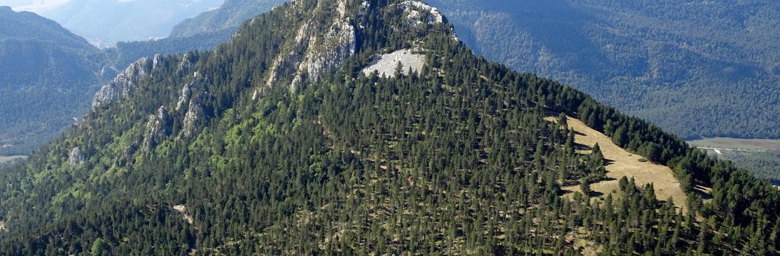 7 d'Octubre. Sortida Boletaire al Berguedà, Cim del Cogulló d'Estela.